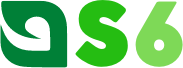 DS6.pl Logo